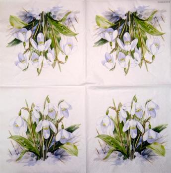 035 Narzissen, Hyazinthen, Maiglöckchen, Krokus - Kathryn White - blau